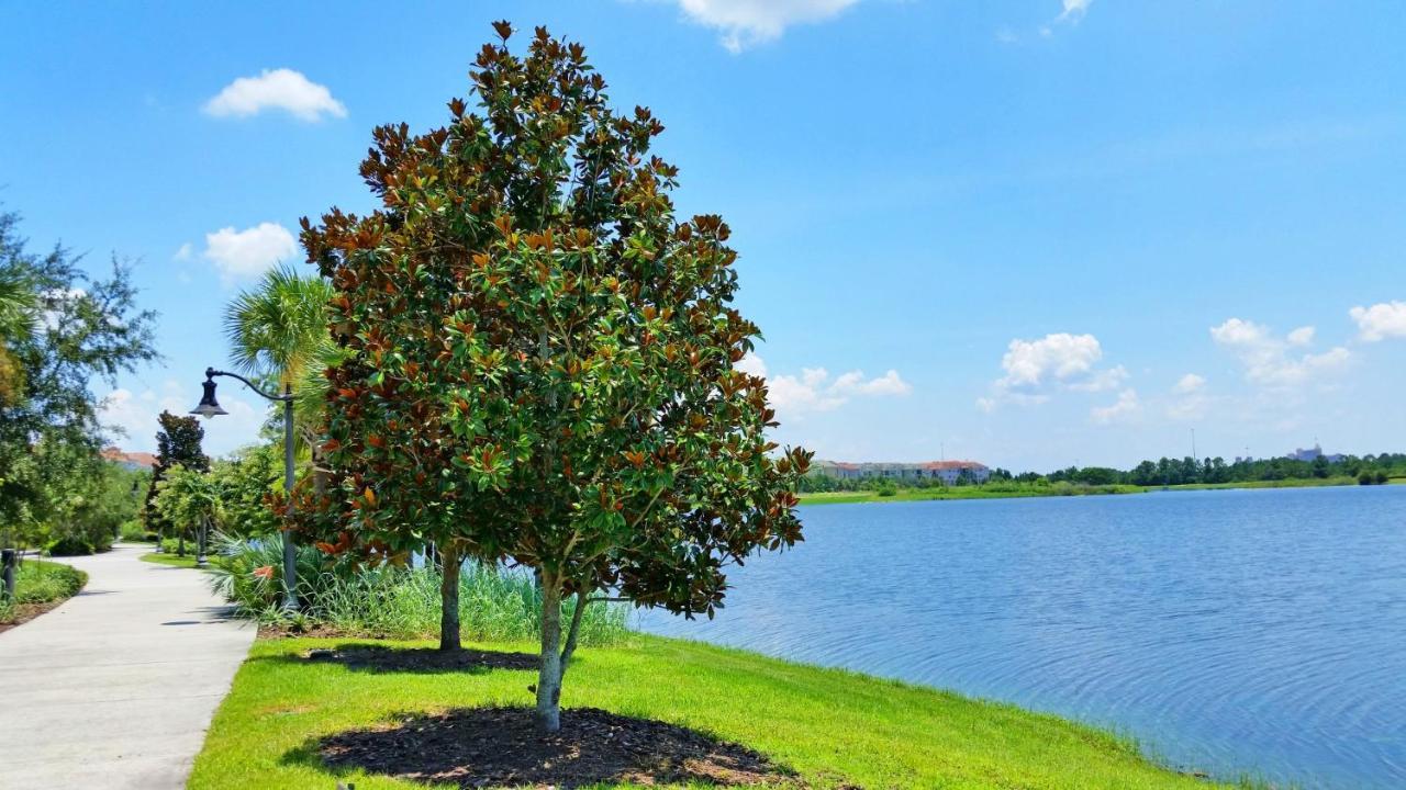 Ground-Floor Condo Next To Vista Cay Clubhouse And Pool! Orlando Extérieur photo